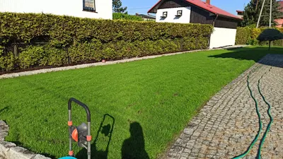 Wycinka drzew Rybnik - Ogrody Sójka - pielęgnacja ogrodów drzew - frezowanie pni Rybnik - wycinka drzew na cmentarzu